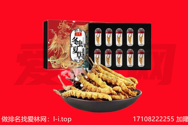 郑州回收虫草.jpg